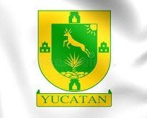 Logo 11